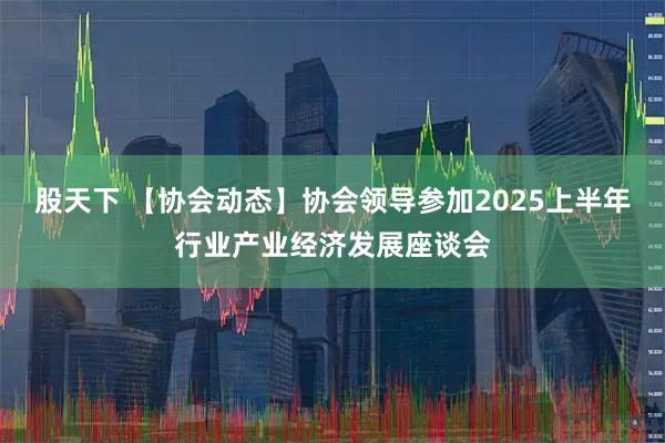 股天下 【协会动态】协会领导参加2025上半年行业产业经济发展座谈会