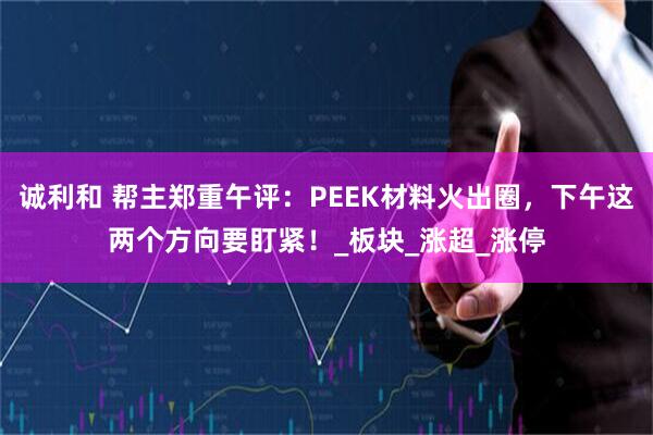 诚利和 帮主郑重午评：PEEK材料火出圈，下午这两个方向要盯紧！_板块_涨超_涨停