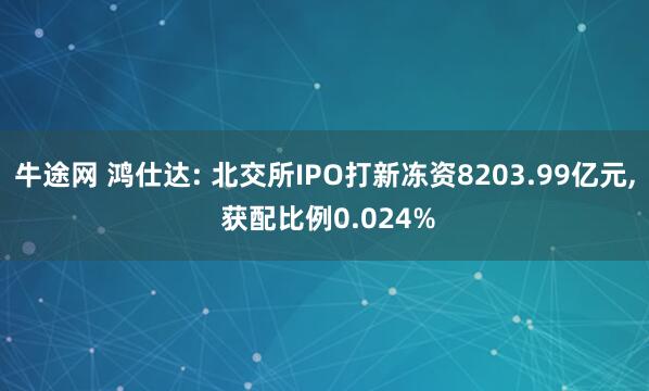 牛途网 鸿仕达: 北交所IPO打新冻资8203.99亿元, 获配比例0.024%