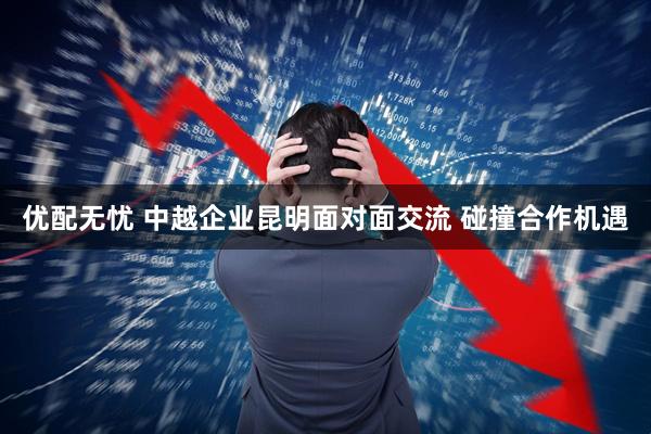 优配无忧 中越企业昆明面对面交流 碰撞合作机遇
